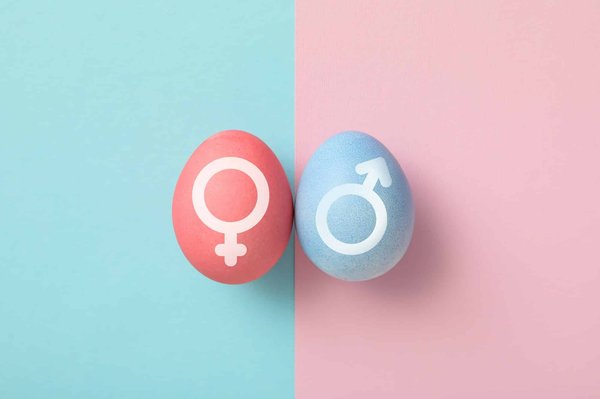 Signe de grossesse : l'importance de savoir si c'est une fille ou un garçon